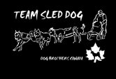 Team Sled T-shirt